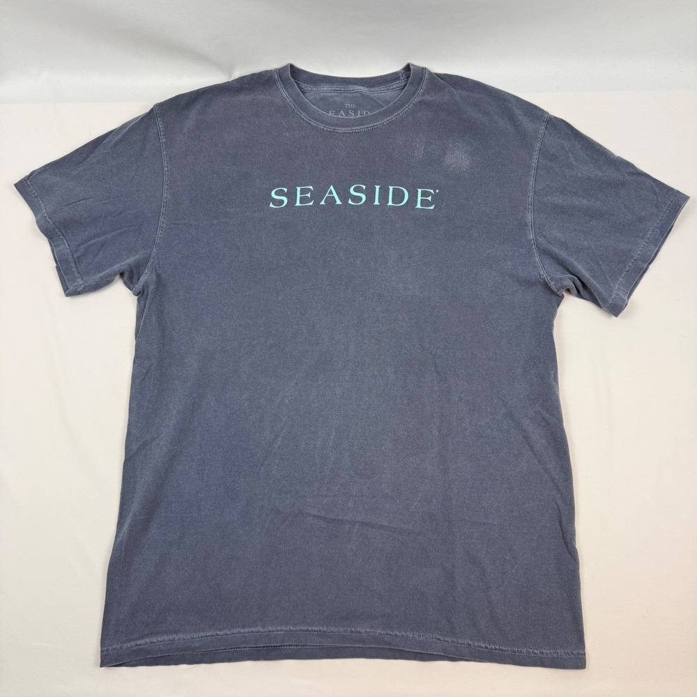 The Seaside Style Mens Large T-Shirt Charcoal Grey Pigment Dye Made in USA Tee